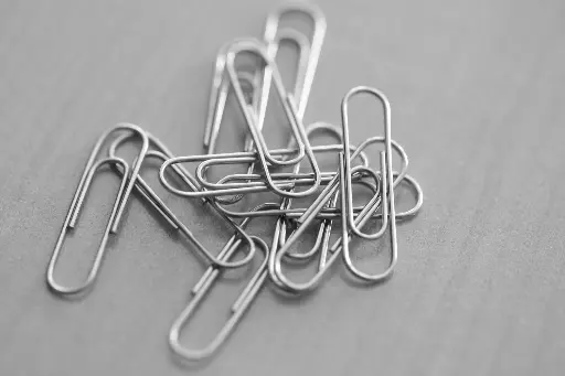 Magnetic Paper Clips (Set of 4)